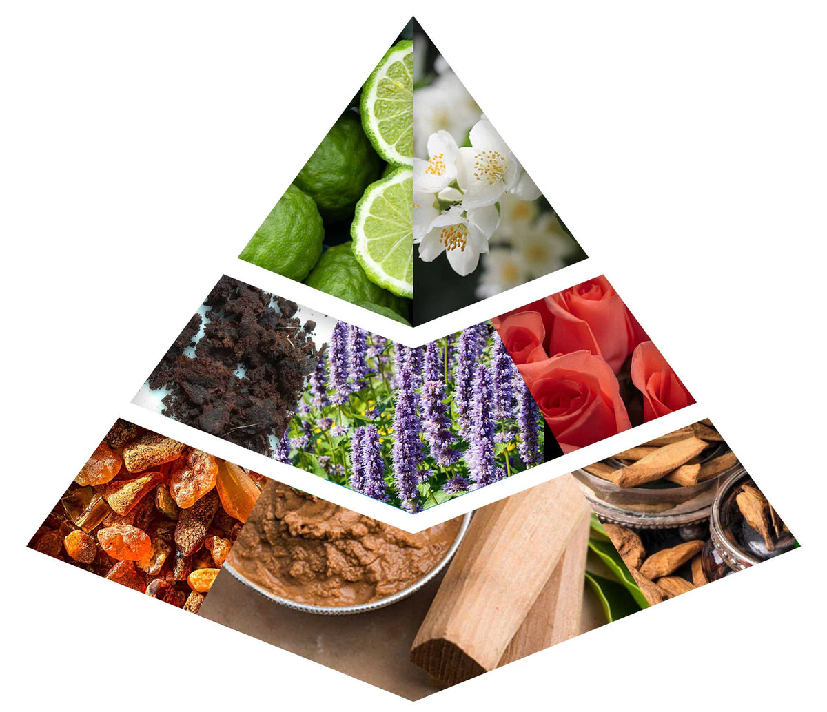 Fragrance Notes