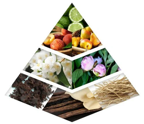 Fragrance Notes