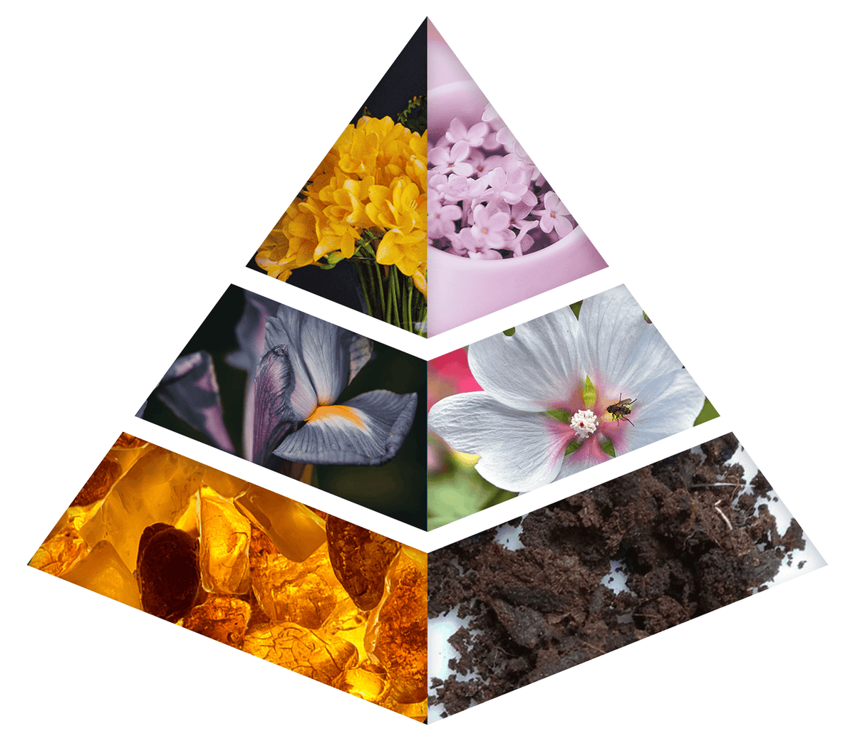 Fragrance Notes